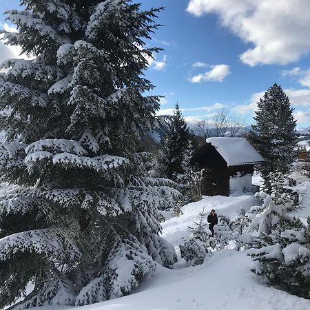 Вилла Haus Grimmingblick Zlem Экстерьер фото