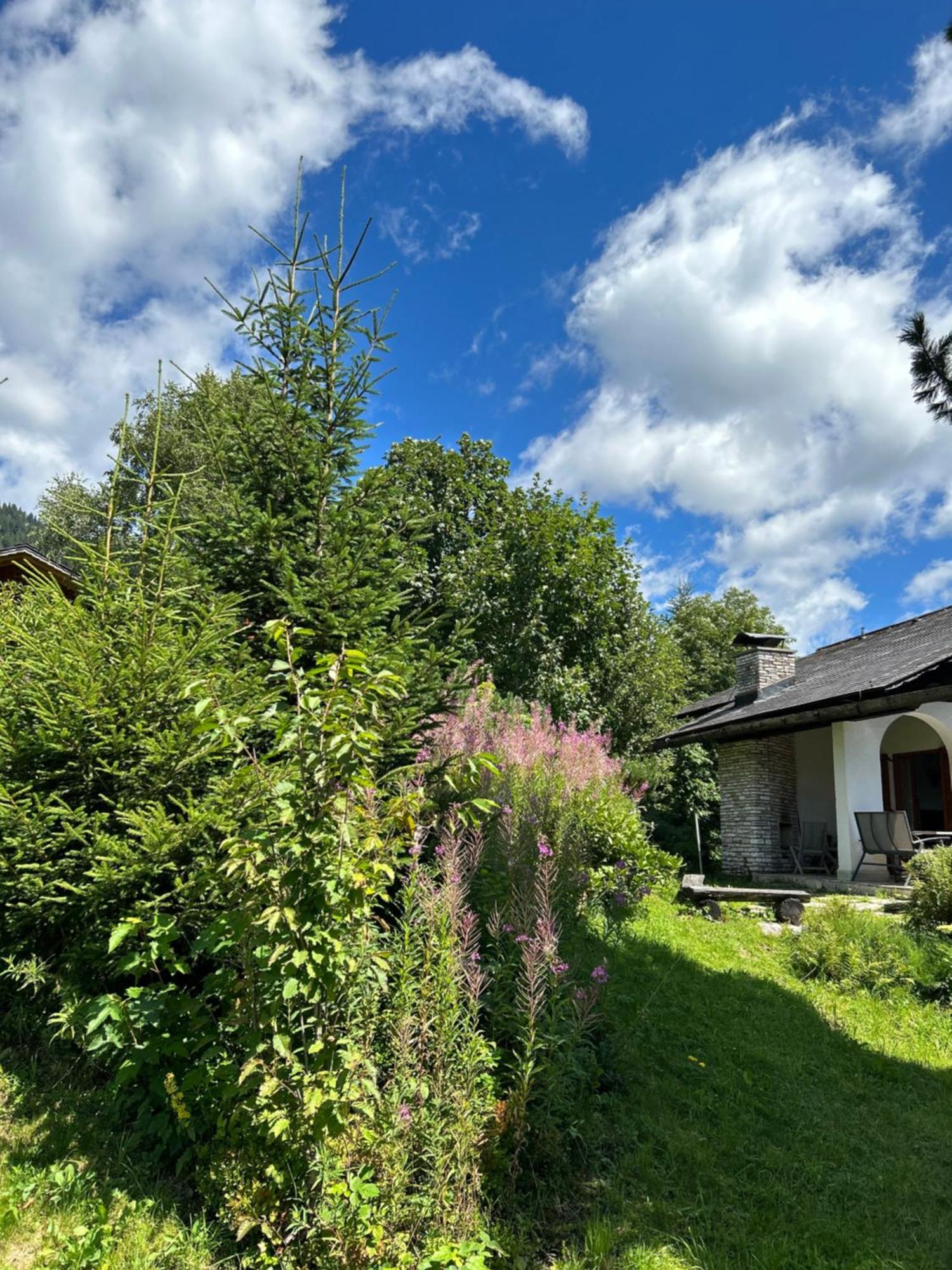 Вилла Haus Grimmingblick Zlem Экстерьер фото